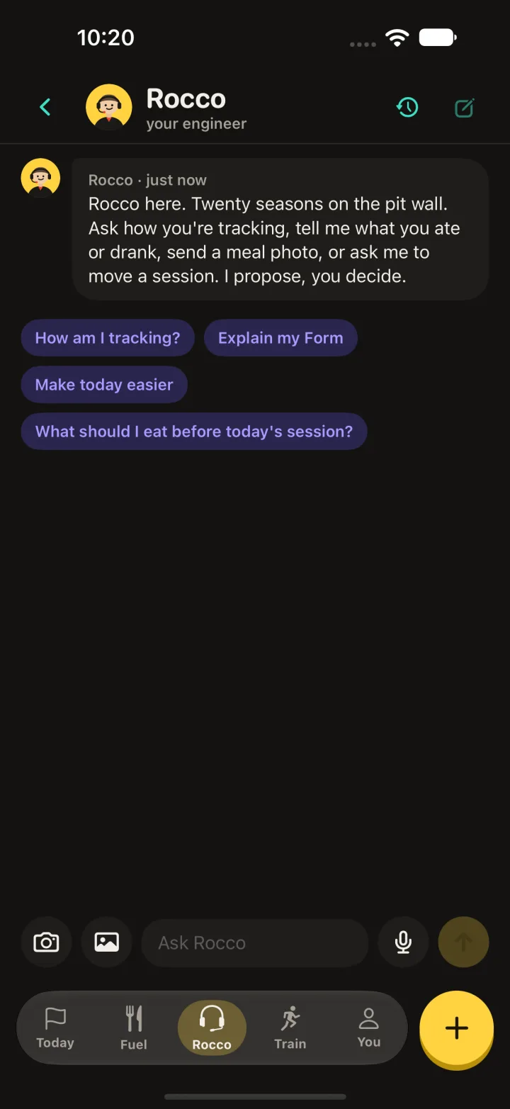 Chat with Rocco